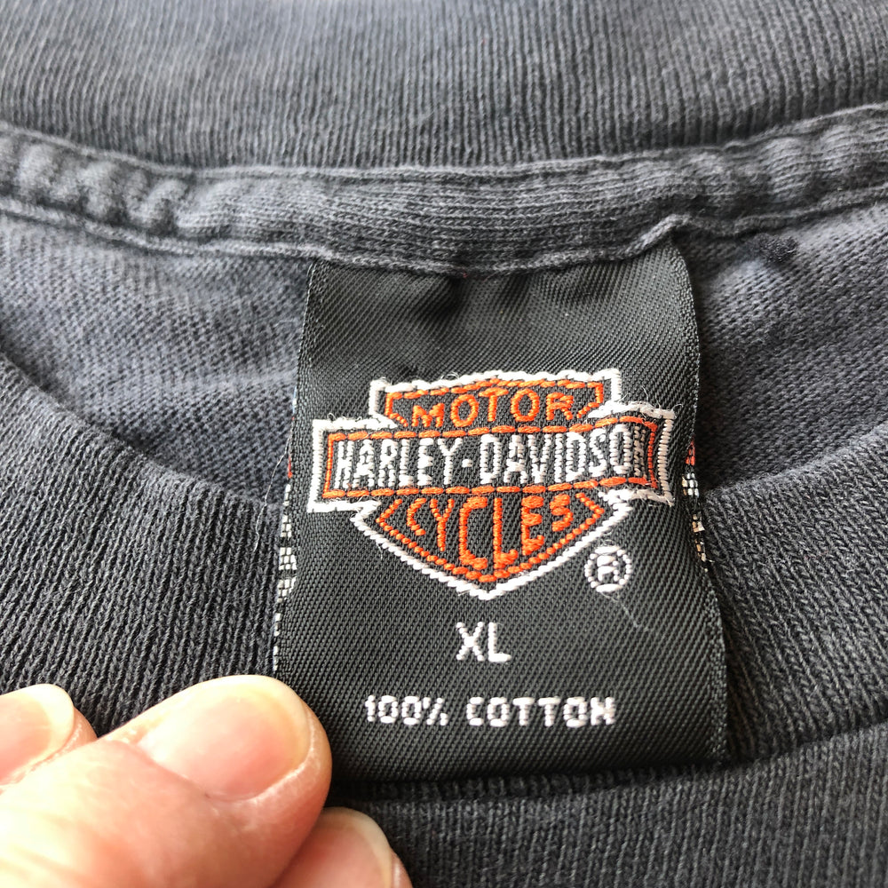 
                  
                    Junction City Kansas 90's Harley Davidson Holoubek Studios T-shirt
                  
                